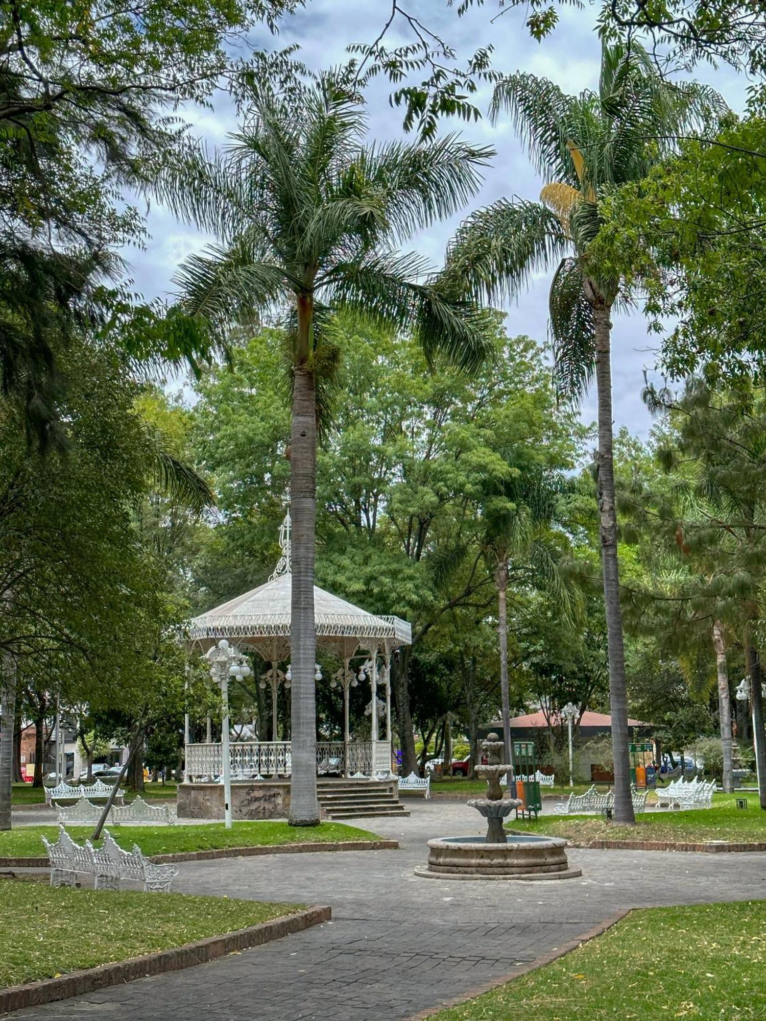 Suite Con Terraza En En El Corazon De Chapalita 11 Guadalajara Eksteriør billede